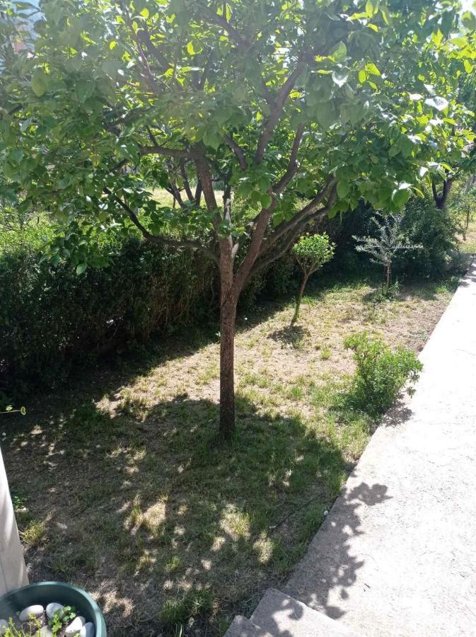 Apartment Ivan Kotor Dış mekan fotoğraf